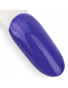 NTN Premium Fiesta... 2