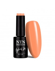 Ntn Premium Milkshake...