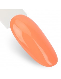 Ntn Premium Milkshake... 2