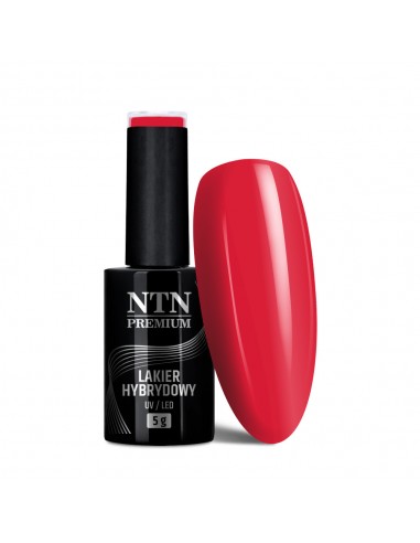 NTN Premium Splash Collection 5g...