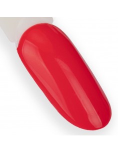 NTN Premium Splash... 2