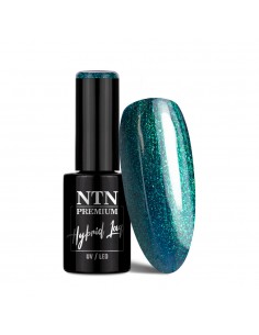 NTN Premium Limited Edition...