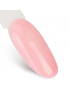 Hybridlakk NTN Premium... 2