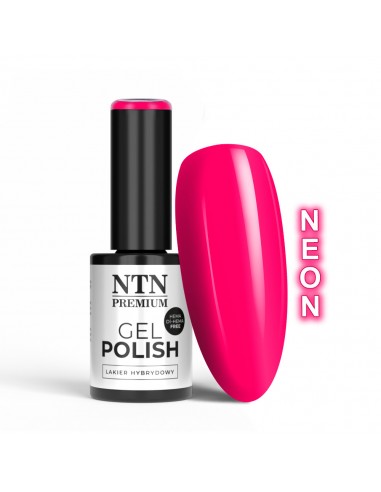 Ntn Premium Birthday Party Collection...