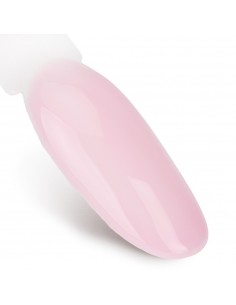 NTN Premium Ambrosia... 2