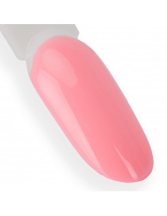 NTN Premium California... 2