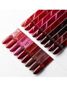 Hybrid LED/UV Gel Polish... 2