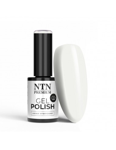 NTN Premium Miss Universe Collection...