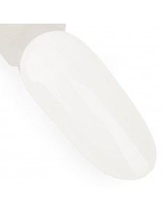 NTN Premium Miss Universe... 2