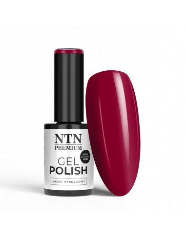 NTN Premium Celebration Collection...