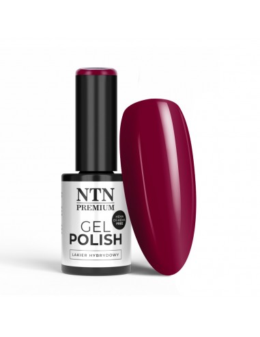 NTN Premium Passion for Love...