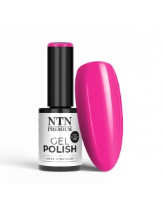 NTN Premium Multicolor...