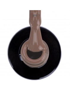 Hybrid LED/UV Gel Polish... 2