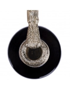 Ntn Premium Celebration... 2