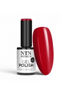 NTN Premium Show Collection...