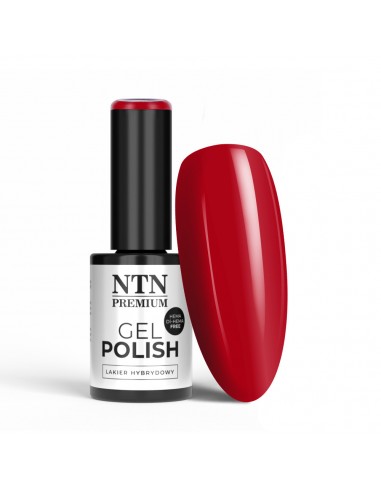 NTN Premium Show Collection...