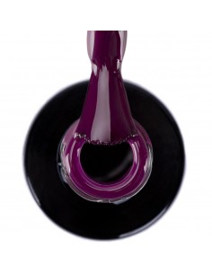 494 Limited Edition NTN... 2