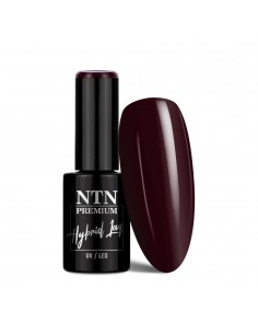 NTN Premium Limited Edition...