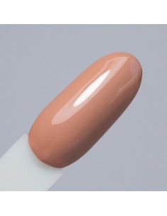 NTN Premium Limited Edition... 2