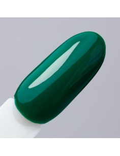 NTN Premium Limited Edition... 2