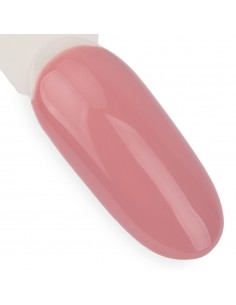 NTN Premium Day Dreaming... 2