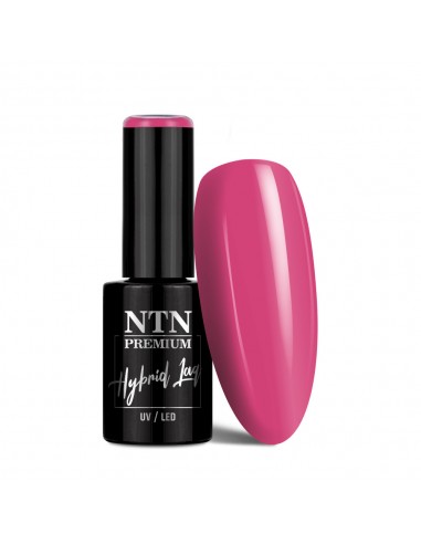 NTN Premium Limited Edition...