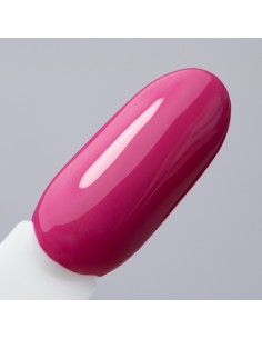 NTN Premium Limited Edition... 2