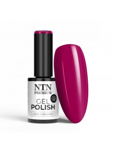 NTN Premium Drama Queen...