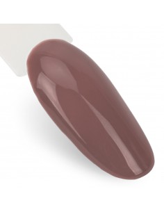 Ntn Premium Milkshake... 2