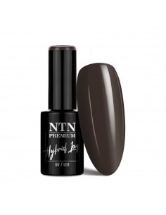 NTN Premium Limited Edition...