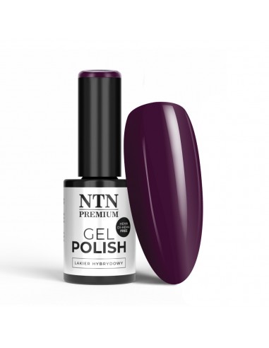 NTN Premium Splash Collection...