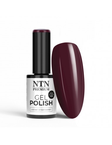 Ntn Premium Show Collection...