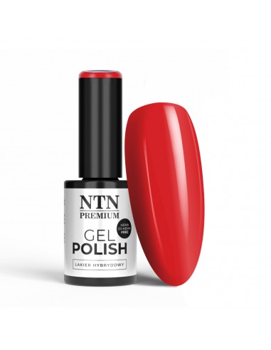 NTN Premium Design Your Style...