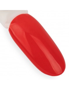 NTN Premium Design Your... 2