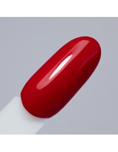 NTN Premium Limited Edition... 2