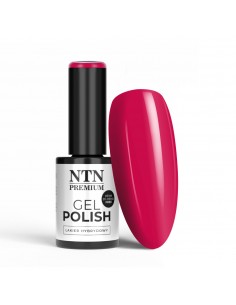 NTN Premium Oriental Delice...