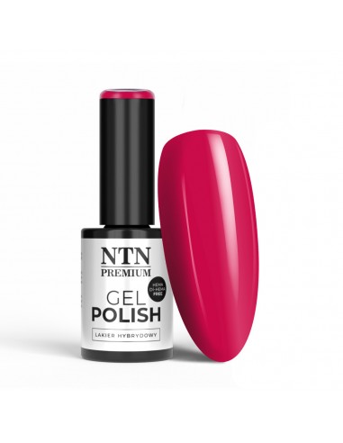 NTN Premium Oriental Delice...