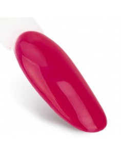 NTN Premium Oriental Delice... 2