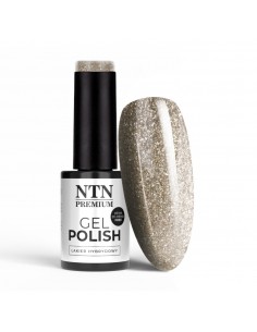 Ntn Premium Celebration...