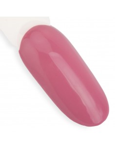 NTN Premium Topless... 2