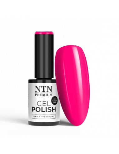 NTN Premium Limited Edition Hybrid...