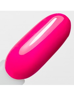 NTN Premium Limited Edition... 2