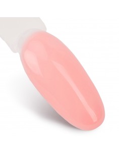 NTN Premium Gummi base... 2