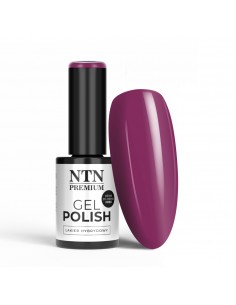 NTN Premium Limited Edition...
