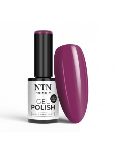 NTN Premium Limited Edition nr. 389...