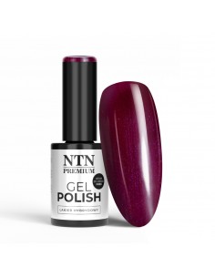 NTN Premium Limited Edition...