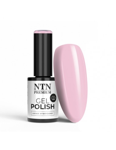 NTN Premium Birthday Party Collection...