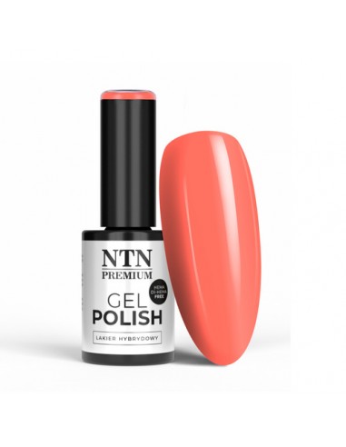 NTN Delight Sorbet LED/UV Gel Polish...