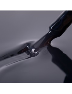 Ntn Premium Show Collection... 2