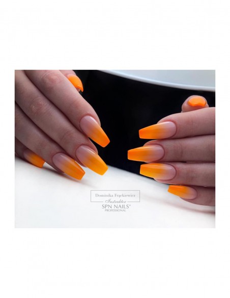 UV – Painting Gel 07